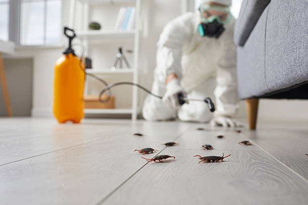 Commercial Kitchen Cockroach Control in Penn Estates
